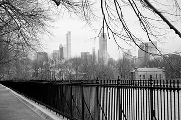 Central Park New York in Schwarz und Weiß von Carolina Reina