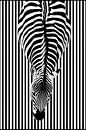 Zebra van bovenaf | Abstract minimalistisch streepdesign in zwart en wit van Frank Daske | Foto & Design thumbnail