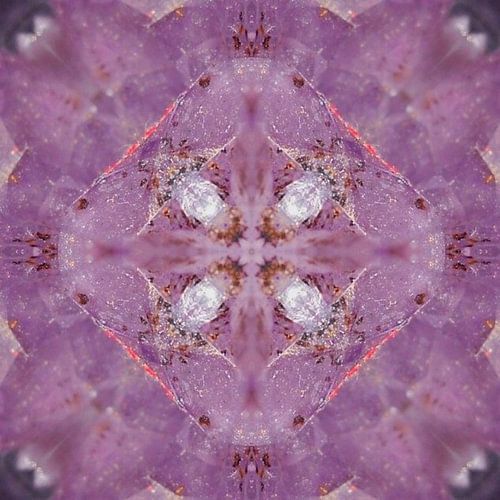 Amethyst-Welten 1 - Der geöffnete Lotus