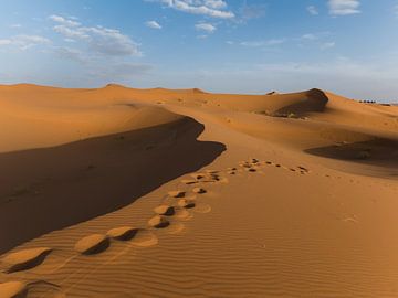 Ausflug in die Saharawüste in Marokko