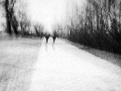 Winter wandeling in het besneewde park in zwart-wit