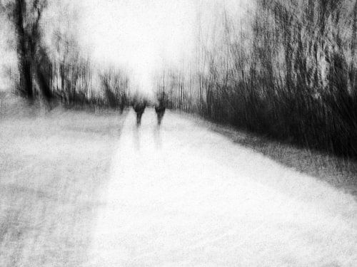 Winter walk in the snowy park in black and white