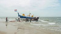 Stoere paarden in de zee 