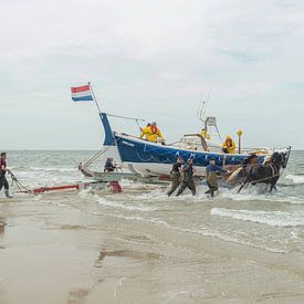 Stoere paarden in de zee  von Jan Iepema