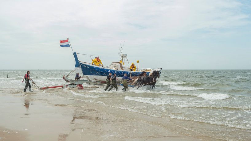 Stoere paarden in de zee  by Jan Iepema