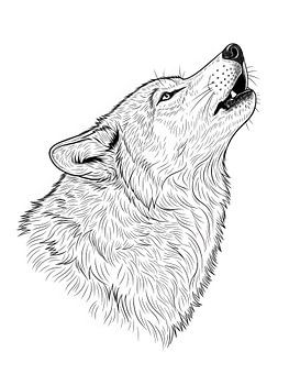 Majestic Howling Wolf Head Line Art Illustration