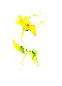 Kleine gelbe Blume