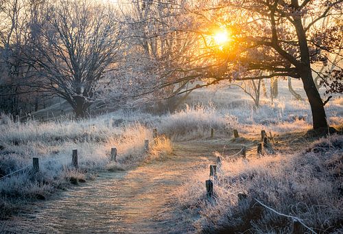 Winterochtend in Hamburg