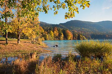 mooie meeroever Walchensee, Niedernach, in herfstkleuren van SusaZoom