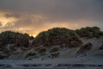 Sunrise over the dunes of De Haan