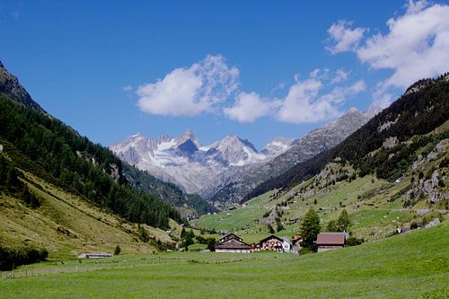 Alpenlandschap