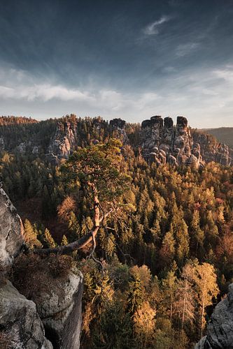 Montagnes de grès de l'Elbe