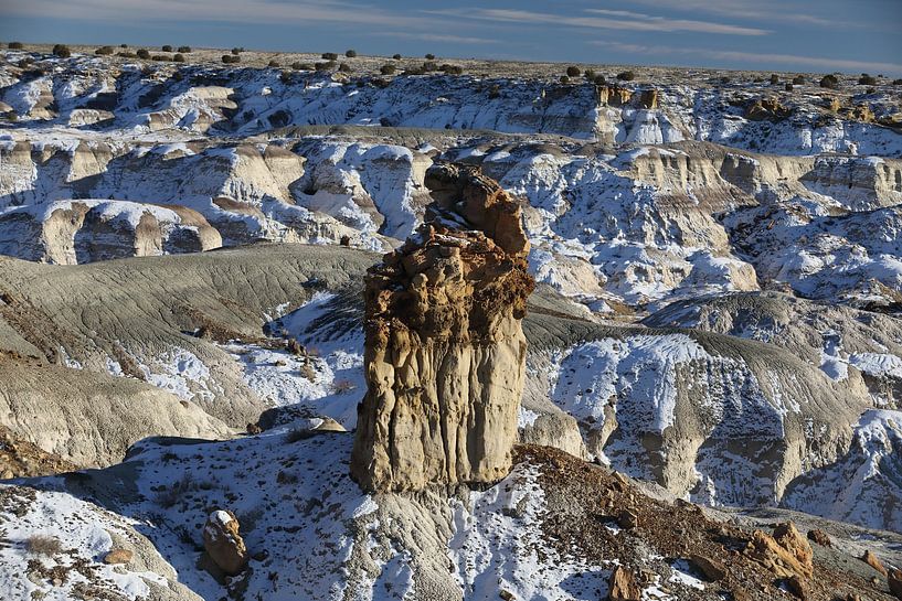 De-na-zin wilderness area , Bisti badlands, New Mexico USA by Frank Fichtmüller