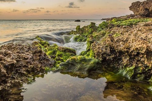 Slow the pace to enjoy the motion - Part 2