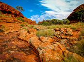 Spaziergang durch Watarrka National Park, Australien von Rietje Bulthuis Miniaturansicht