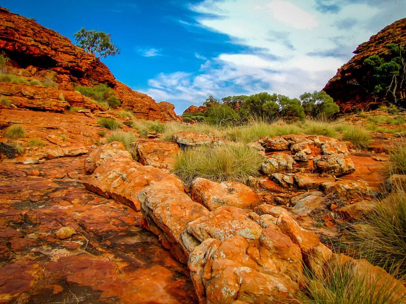 wandeling door Watarrka Nationaal Park, Australie van Rietje Bulthuis