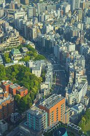 Tokio Stadsgezicht (Japan) van Marcel Kerdijk