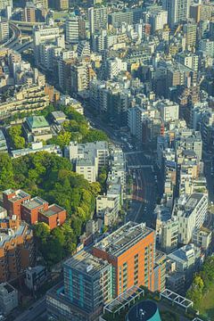 Tokio Stadsgezicht (Japan) van Marcel Kerdijk