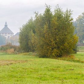 Die neubyzantinische St. Katharinenkirche in 's-Hertogenbosch. Blick vom Naturschutzgebiet Bossche P von Sander Groffen