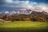 Asturien Picos de Europa von Jean Claude Castor Miniaturansicht