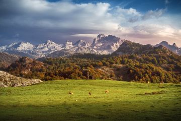 Asturien Picos de Europa von Jean Claude Castor