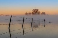 Brume sur la Meuse
