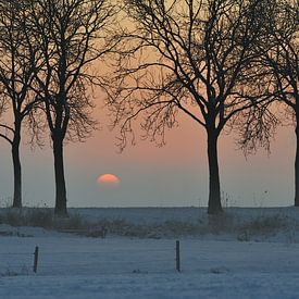 bitterly cold by Matthijs Lokers