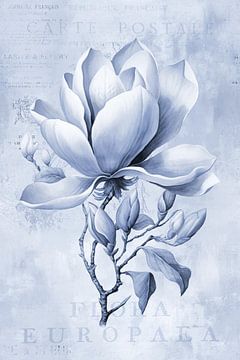 Magnolia Spring Romance Pastel Blue by Andrea Haase