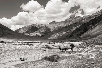 Man en paard met wilgenhout in het Himalaya gebergte