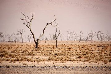 NAMIBIA ... pastel tones III van Meleah Fotografie