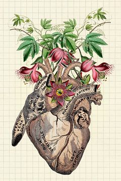 Drawings from the Heart by Marja van den Hurk