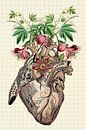 Drawings from the Heart von Marja van den Hurk Miniaturansicht