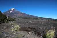National Park Conguillío and Volcán Llaima, Chile