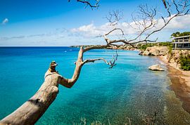 Curacao Strand Westpoint. Playa Forti von Eiland-meisje
