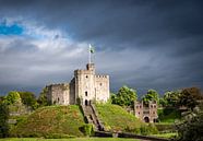 Castle Cardiff, against a threatening sky, Wales by Rietje Bulthuis thumbnail