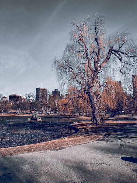 Boston by Hello Pompoyo