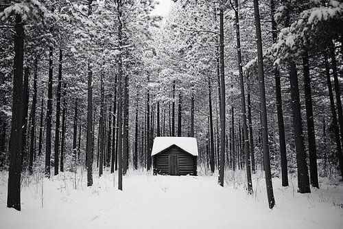 Eenzaam hutje in besneeuwd bos