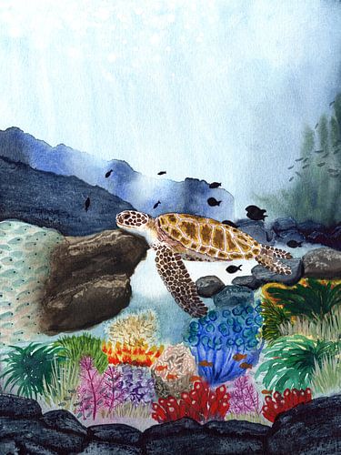 Zeeschildpad