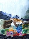 Zeeschildpad van Marina Goudappel thumbnail