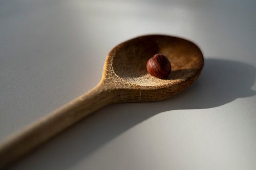 Vers geraapte hazelnoot