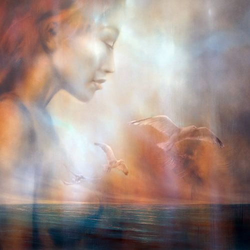 Jana droomt: Uitzicht op zee met meeuwen