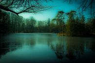 Le lac gelé mystique par Tom Holmes Aperçu