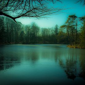 The mystical frozen lake by Tom Holmes