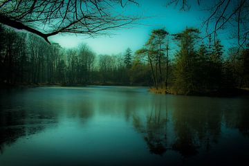 The mystical frozen lake by Tom Holmes