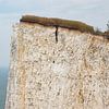 Falaises blanches de Birling Gap, Angleterre sur Nynke Altenburg