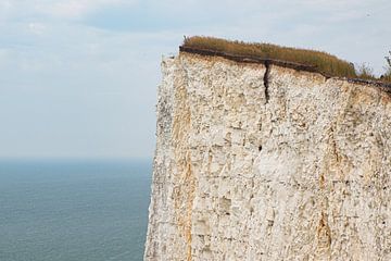 Falaises blanches de Birling Gap, Angleterre sur Nynke Altenburg