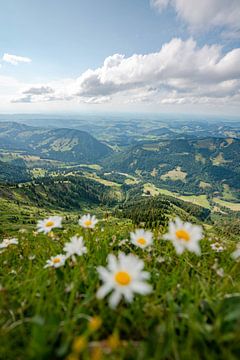 Bloemrijk uitzicht op Oberstaufen vanaf de Hochgrat van Leo Schindzielorz