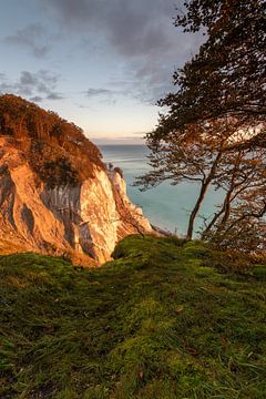 Sonnenaufgang an den Kreidefelsen Møns Klint von Stephan Schulz