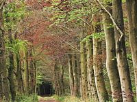 Stiltegebied Plantoon Waalwijk