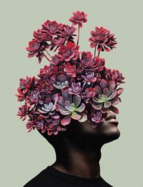 Such a Succulent Guy van Marja van den Hurk